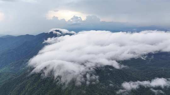 海南乐东县尖峰岭国家森林公园热带雨林