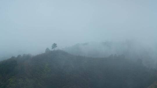 雨后山间云雾延时