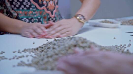 巴西海外咖啡豆种植生产视频