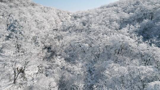 临安浙西天池江南雾凇雪景航拍