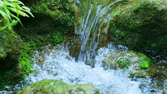 水源山泉水青苔水流生命之水