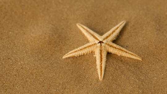 沙子上的小星星，旋转