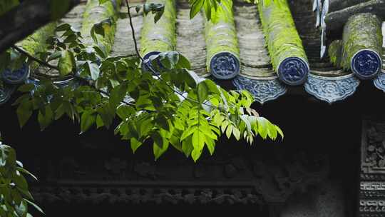 中式园林古建筑下雨屋檐滴水下雨视频素材模板下载
