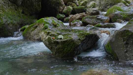 成都青城山后山峡谷森林步道溪流自然景观