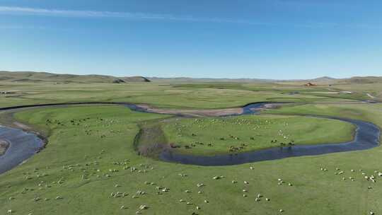 航拍草原牧场羊群马群视频素材模板下载