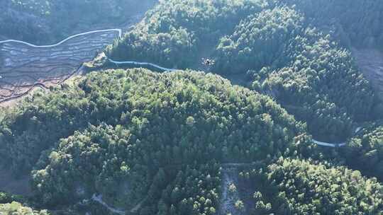 无人机航拍森林场防火自动巡勘查山探测绘