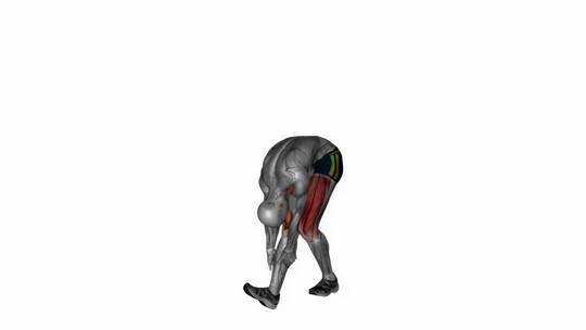跑步者伸展健身运动锻炼动画3D演示