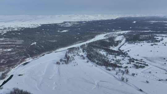 额尔古纳冬季自然风光根河湿地雪景