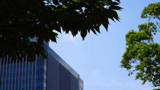 商务写字楼 空镜素材