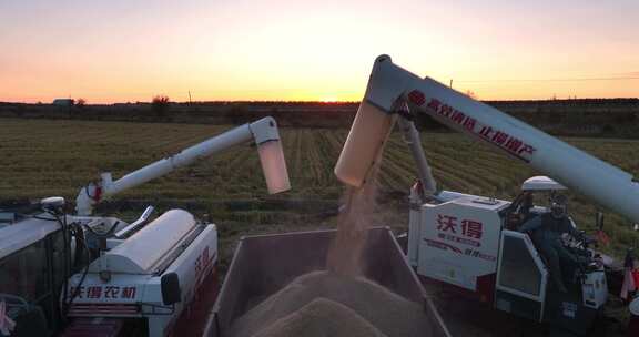 夕阳下收割机在水稻田收割稻谷航拍