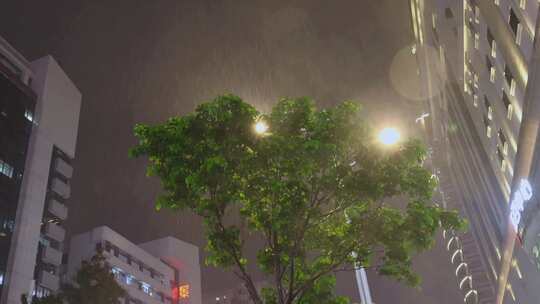 雨天城市路灯视频素材模板下载