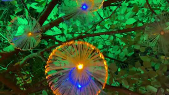 仰视水母灯树木亮化