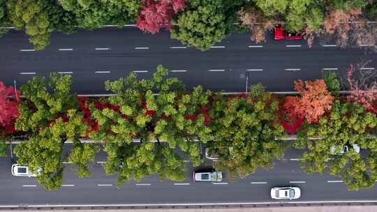 航拍汽车行驶在城市的公路上