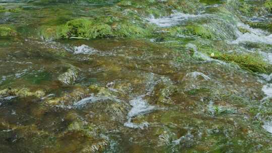 小河森林流水清澈水质
