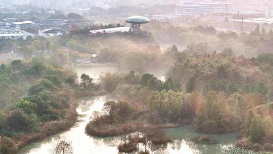 杭州秋天 西溪湿地 手摇船 湿地博物馆