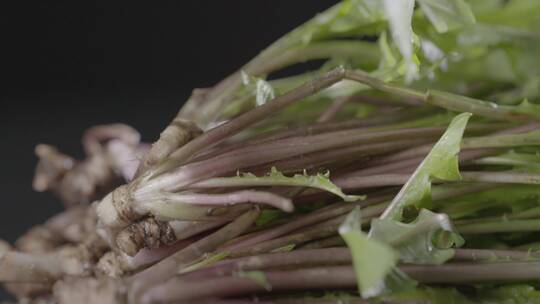 婆婆丁野菜LOG视频素材