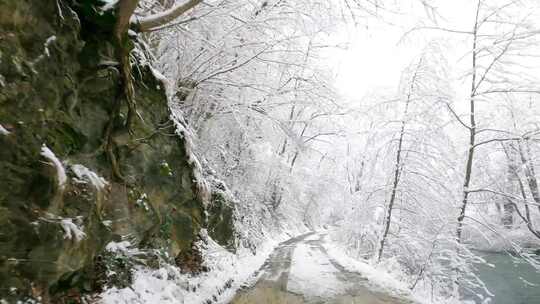 在雪地里开车穿过森林