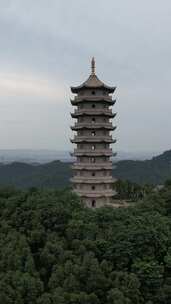 竖屏航拍江西宜春禅都文化博览园崇圣禅寺