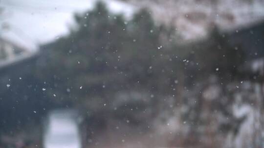 升格拍摄漫天飞舞的雪花视频素材模板下载