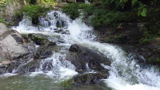 山间小溪水河流水树木枝叶视频