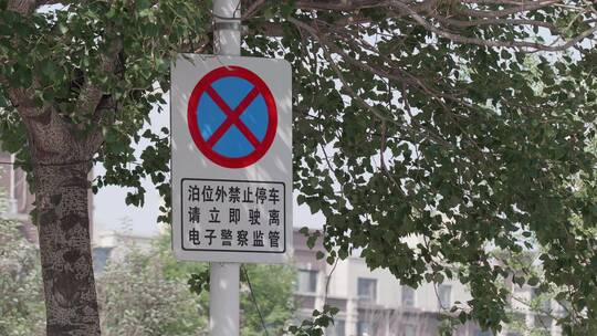 禁止停车 禁停路标 交通指示牌视频素材模板下载