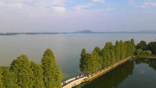 武汉东湖湖畔绿树风景