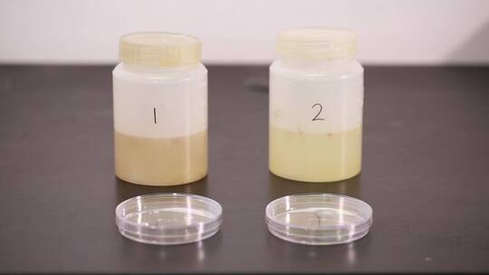 化学仪器检测生姜细菌