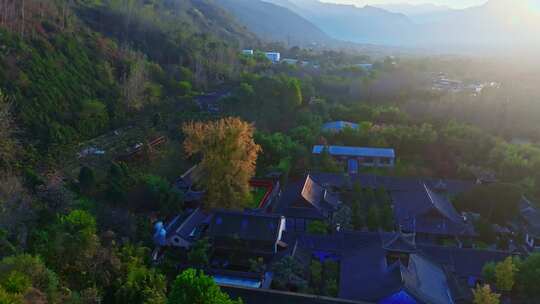 西安古观音禅寺千年银杏树