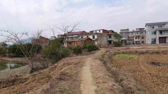 乡村景象中带池塘的泥土小路