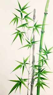 中国风绿色水彩竹子