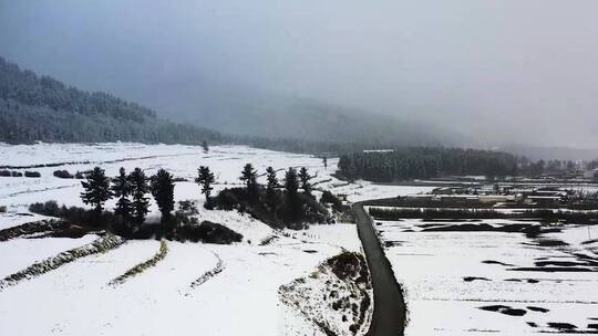 旅游景区，大山深处自然美，治愈系风景