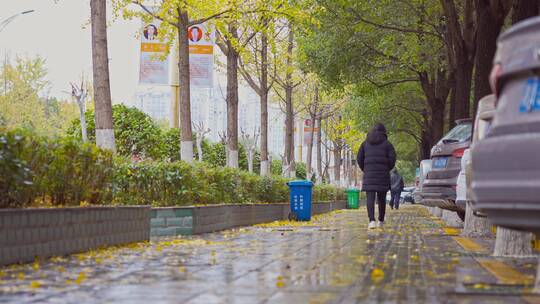 落叶深秋-银杏树叶-伤感凄凉-秋雨的街道