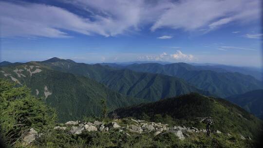 宣传片大气绿色和谐秦岭森林延时摄影实拍