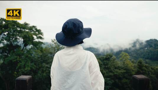 下雨天一群青年人在杉木林中徒步