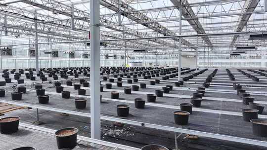 现代农业温室育苗车间