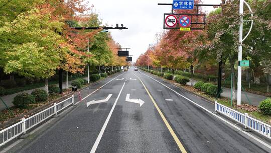 杭州钱塘区学林街秋景航拍