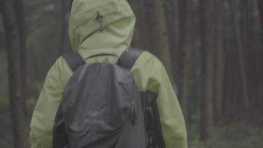 森林里徒步的人视频素材模板下载