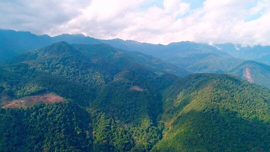 高黎贡山百花岭景区（摄影爱好者打鸟胜地）