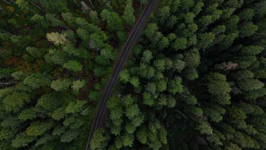 航拍森林中蜿蜒的公路 盘山公路