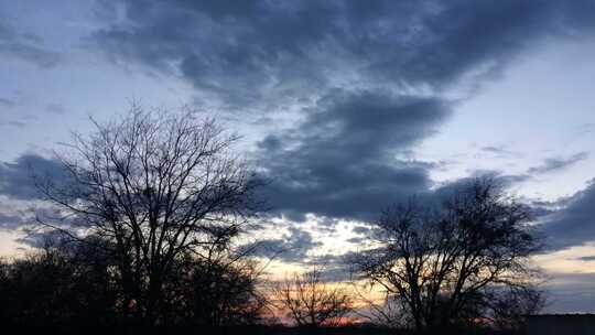 延时拍摄日落时分的云彩和枯藤