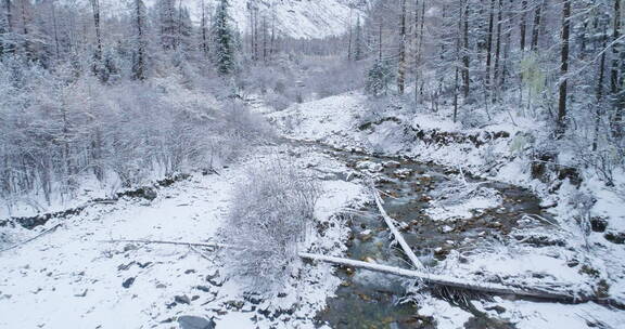 冬季航拍四姑娘山双桥沟雪景森林溪谷