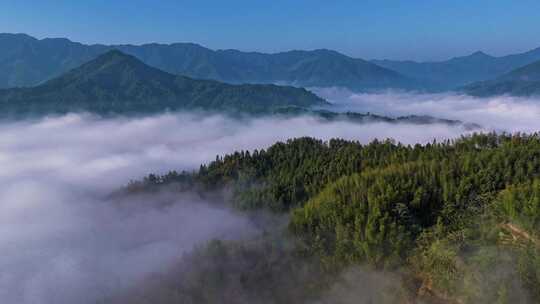 江南高山群山云海云雾延时航拍