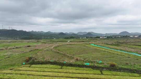 龙里油画大草原傍晚航拍