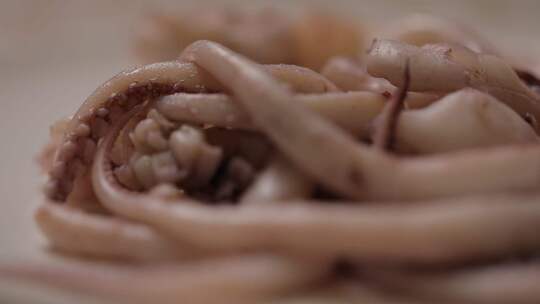 鱿鱼食材微距特写