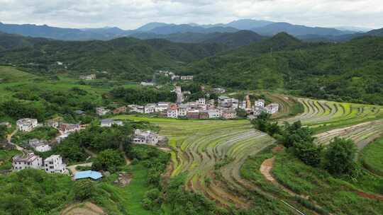 客都广东梅州市大埔县坪山梯田景点