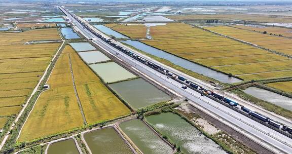 节假日高速公路堵车