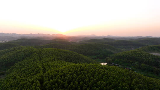 航拍台山森林霞光小河鱼塘