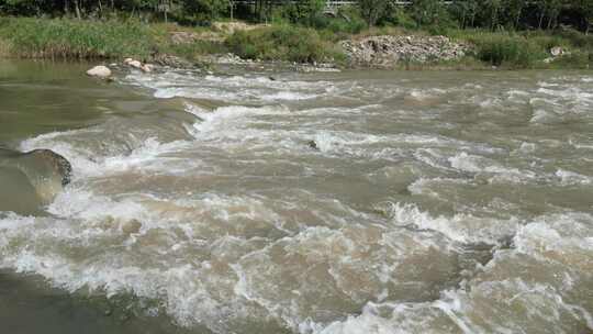 小河 黄河 水位上涨