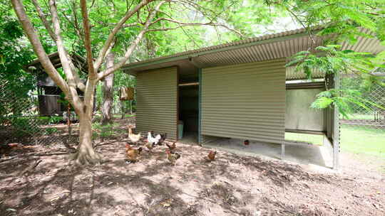 从外面有小树遮蔽的混凝土块上的鸡舍或鸡舍