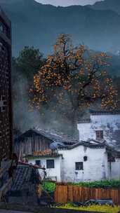 治愈风景 唯美 多彩